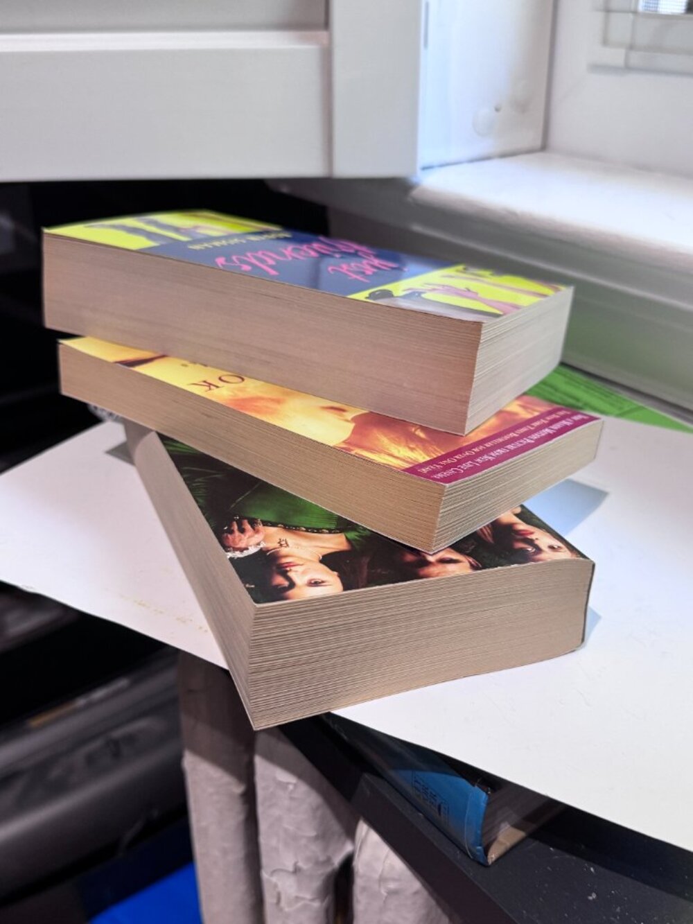 📚 The Notebook + The Other Boleyn Girl + Just Friends | Bestselling Book Bundle - Picture 13 of 16